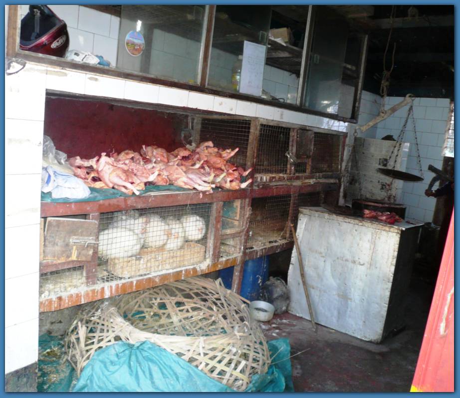 900x774 pixels (99K)